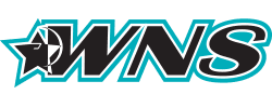 brands_WNS 250x100px